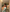 COCO HALTER GOWN - SAGE GREEN